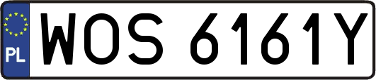 WOS6161Y