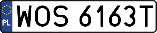 WOS6163T