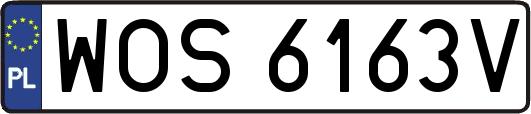 WOS6163V