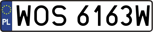 WOS6163W