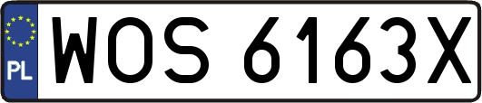 WOS6163X