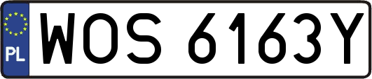 WOS6163Y