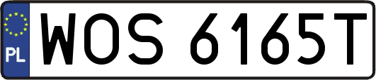 WOS6165T