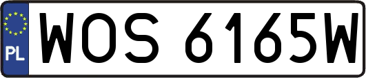 WOS6165W