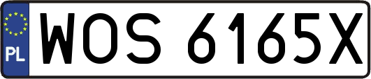 WOS6165X