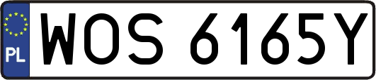 WOS6165Y
