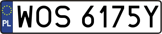 WOS6175Y