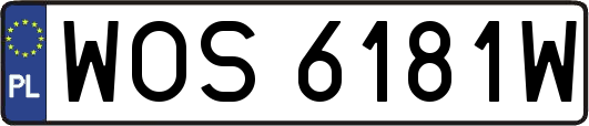 WOS6181W