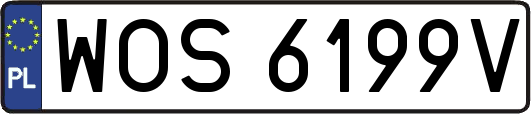 WOS6199V