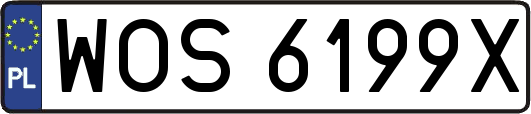 WOS6199X