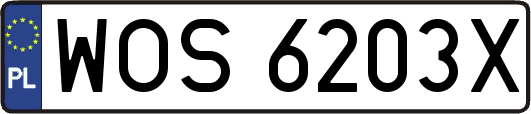 WOS6203X