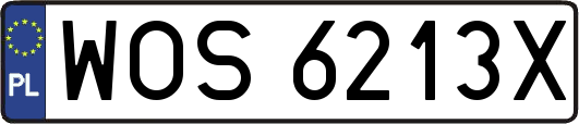 WOS6213X
