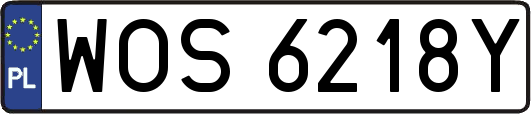 WOS6218Y