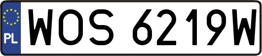 WOS6219W
