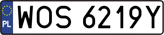 WOS6219Y
