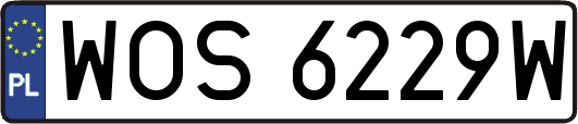 WOS6229W