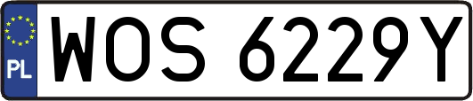 WOS6229Y