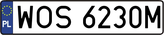 WOS6230M