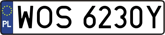 WOS6230Y