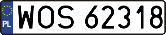 WOS62318