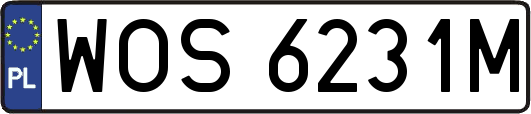 WOS6231M