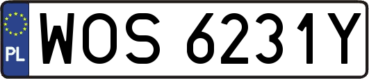WOS6231Y