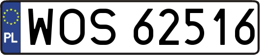 WOS62516