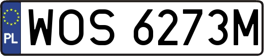 WOS6273M