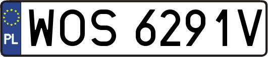 WOS6291V