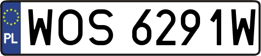 WOS6291W