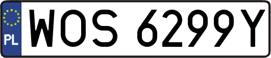 WOS6299Y