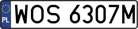 WOS6307M