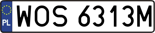 WOS6313M