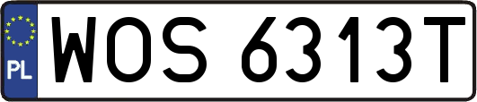 WOS6313T