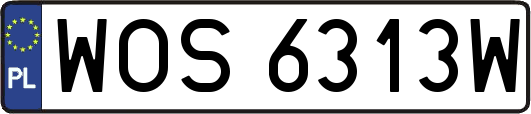 WOS6313W