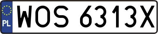 WOS6313X