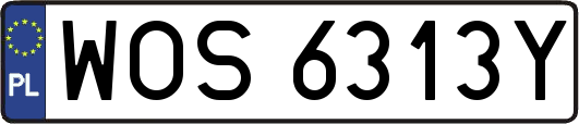 WOS6313Y