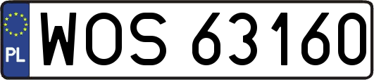 WOS63160