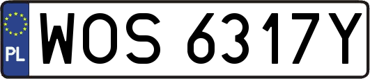 WOS6317Y