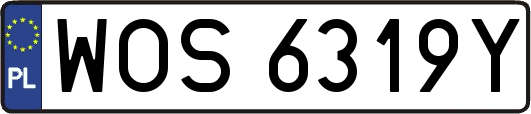 WOS6319Y