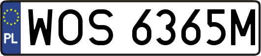 WOS6365M