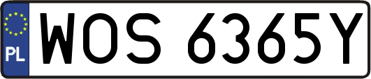 WOS6365Y
