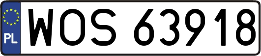 WOS63918