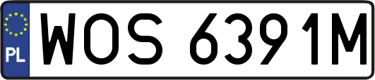 WOS6391M