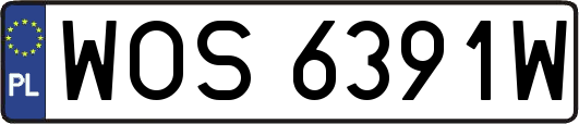 WOS6391W