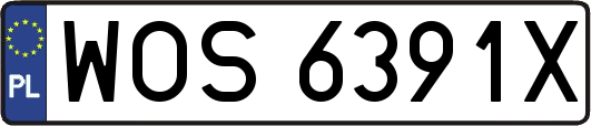 WOS6391X