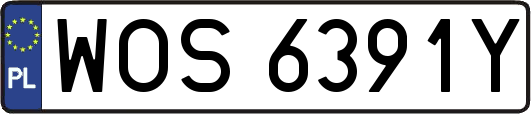 WOS6391Y