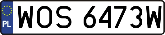 WOS6473W