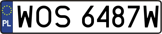 WOS6487W