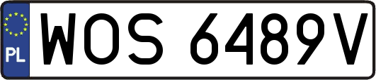 WOS6489V
